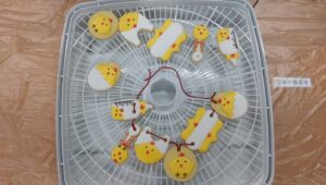 2018/04/27收涎糖霜餅乾課程照片28