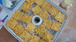 2017.7.22杏仁瓦片教學課程照片14