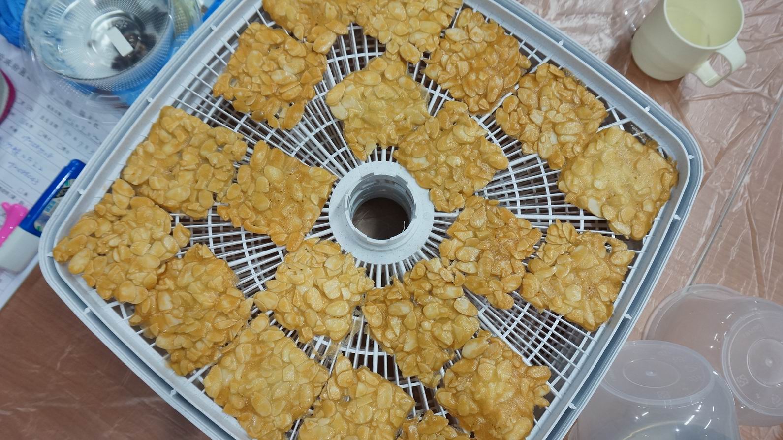 2017.7.22杏仁瓦片教學課程照片14